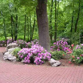 Bild von Gesundheitspark