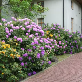 Bild von Gesundheitspark