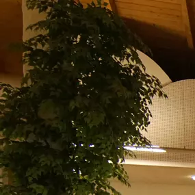 Bild von Gesundheitspark