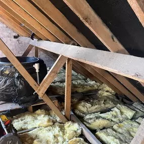 Bild von Belfast Renovations