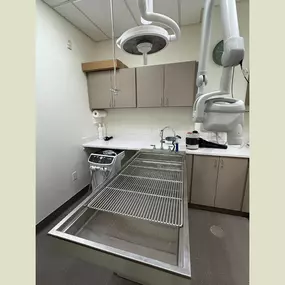 Green Family Veterinary Practice, Vet in Warrenville, IL - Interior Dental Suite