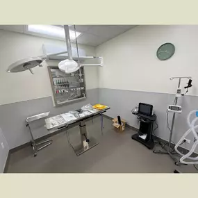 Green Family Veterinary Practice, Vet in Warrenville, IL - Interior Surgery Suite