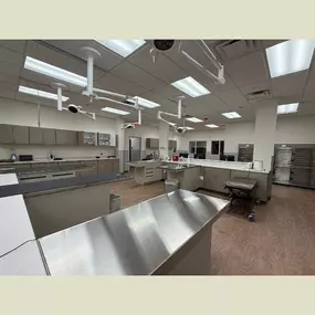 Green Family Veterinary Practice, Vet in Warrenville, IL - Interior Treatment Area
