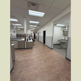 Green Family Veterinary Practice, Vet in Warrenville, IL - Interior Treatment Area