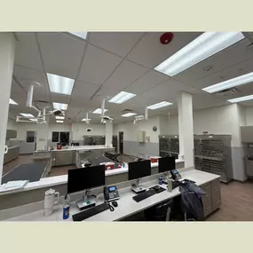 Green Family Veterinary Practice, Vet in Warrenville, IL - Interior Treatment Area