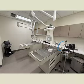 Green Family Veterinary Practice, Vet in Warrenville, IL - Interior Dental Suite