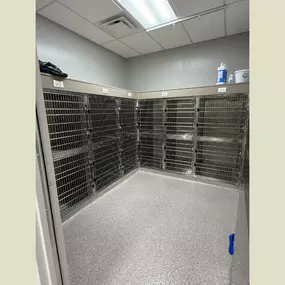 Green Family Veterinary Practice, Vet in Warrenville, IL - Interior Kennels