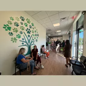 Vet in Warrenville, IL - Green Family Veterinary Practice, grand opening!