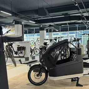 Bild von e-motion e-Bike Welt, Dreirad- & Lastenfahrrad-Zentrum Schwerin