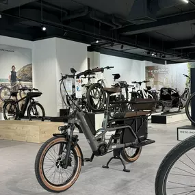 Bild von e-motion e-Bike Welt, Dreirad- & Lastenfahrrad-Zentrum Schwerin