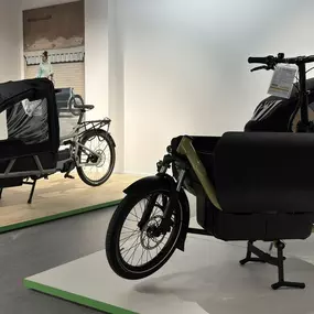 Bild von e-motion e-Bike Welt, Dreirad- & Lastenfahrrad-Zentrum Schwerin