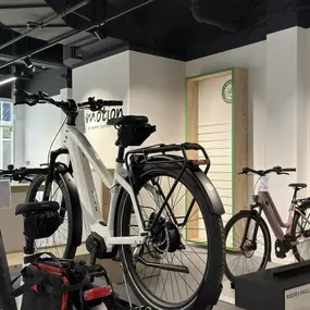 Bild von e-motion e-Bike Welt, Dreirad- & Lastenfahrrad-Zentrum Schwerin