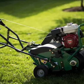 Bild von Lawn Pride of Greenville
