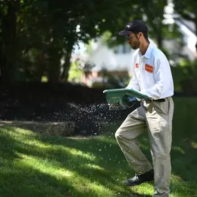 Bild von Lawn Pride of Greenville