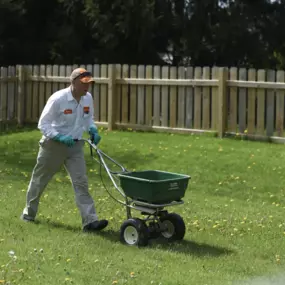 Bild von Lawn Pride of Greenville