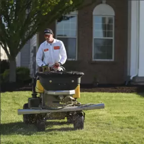 Bild von Lawn Pride of Greenville