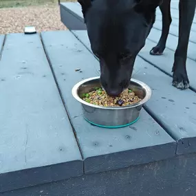 Bild von Koda King Natural Dog Food