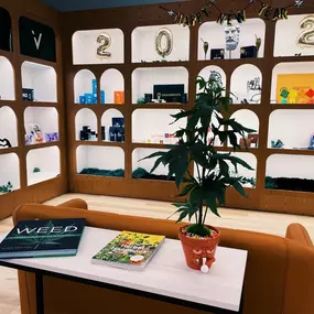 Voltaire Cannabis Dispensary Mt Holly