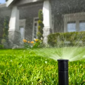 Make your lawn the lush, green space you always wanted it to be.