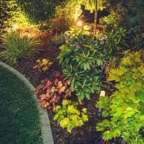 Illuminate your landscape.