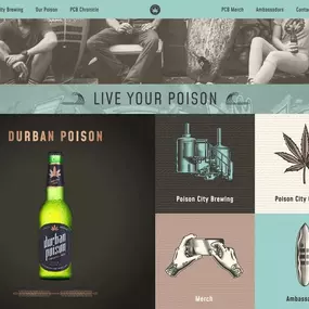 DP Web Design Look and Feel