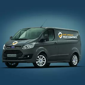 Pest Control CI Design