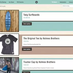WooCommerce Theme Development