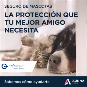 infosegur-seguro-de-mascotas-febrero-2023.jpg