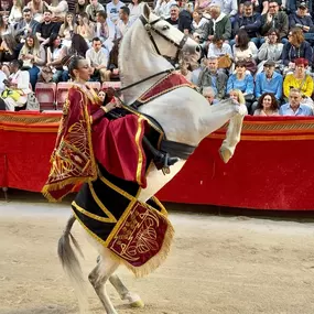 centreequestresonvivotenlorcaciudaddelsol.jpg