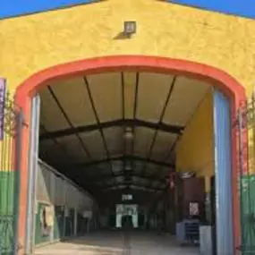 centroequestresonvivotfotoeventos.jpeg