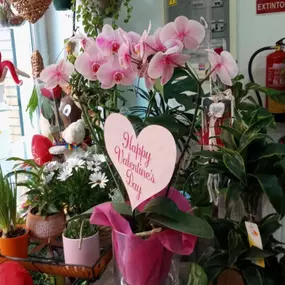 floristeriamadreselvaafloresyplantas.jpeg