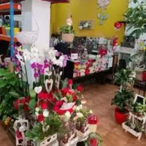 floristeriamadreselvafotointeriorelportaldetuciudad.jpeg