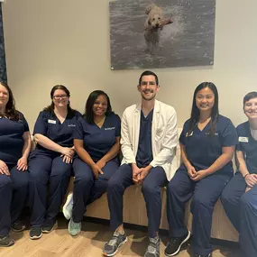 Bild von CityVet | Northlake Veterinary Clinic