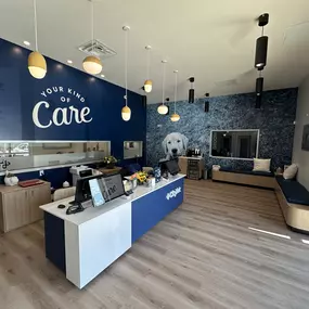 Bild von CityVet | Northlake Veterinary Clinic