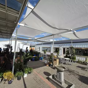 Bild von That 1 Painter Dallas