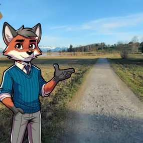 Bild von KMUfox GmbH