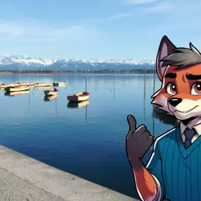 Bild von KMUfox GmbH