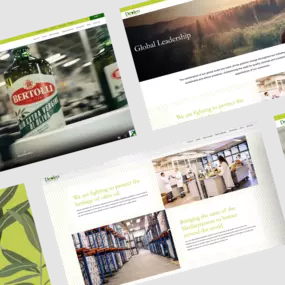 mso website examples