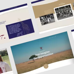 Bild von mso web agency