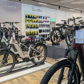 Bild von e-motion e-Bike Welt Lustenau