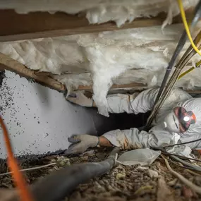 Bild von Tar Heel Basement Systems