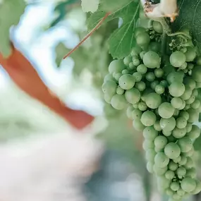Bild von Where Food Comes From Inc