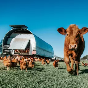 Bild von Where Food Comes From Inc
