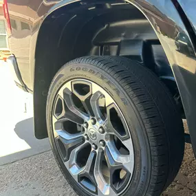 Bild von Evolution Customs