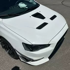Bild von Evolution Customs