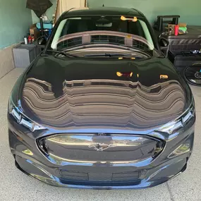 Bild von Evolution Customs