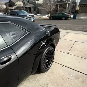Bild von Evolution Customs
