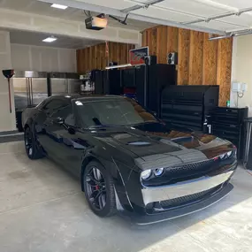 Bild von Evolution Customs