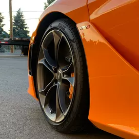 Bild von Evolution Customs