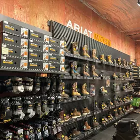 Bild von Ariat Work Shop